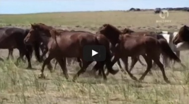 Монголия в тени Чингисхана.