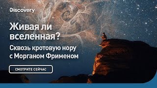 Живая ли Вселенная? Сквозь кротовую нору с Морганом Фриманом. Discovery.