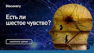 Есть ли шестое чувство? Сквозь кротовую нору с Морганом Фриманом. Discovery.