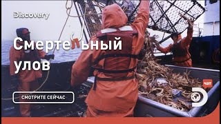 Начало. Смертельный улов. Discovery.